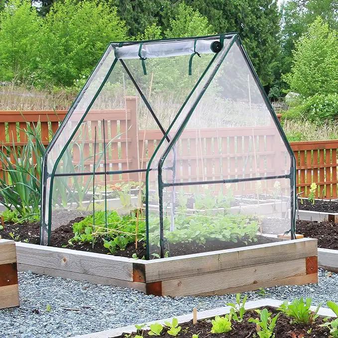 Mini Greenhouse for Indoor Outdoor: Ohuhu Tabletop Portable Green House with Waterproof Pad for Small Plants Nursery Germination, 36"x36"x42" Light Duty Cover Tent Humidity Dome Seedling Accessory by GreenHaven Gardens