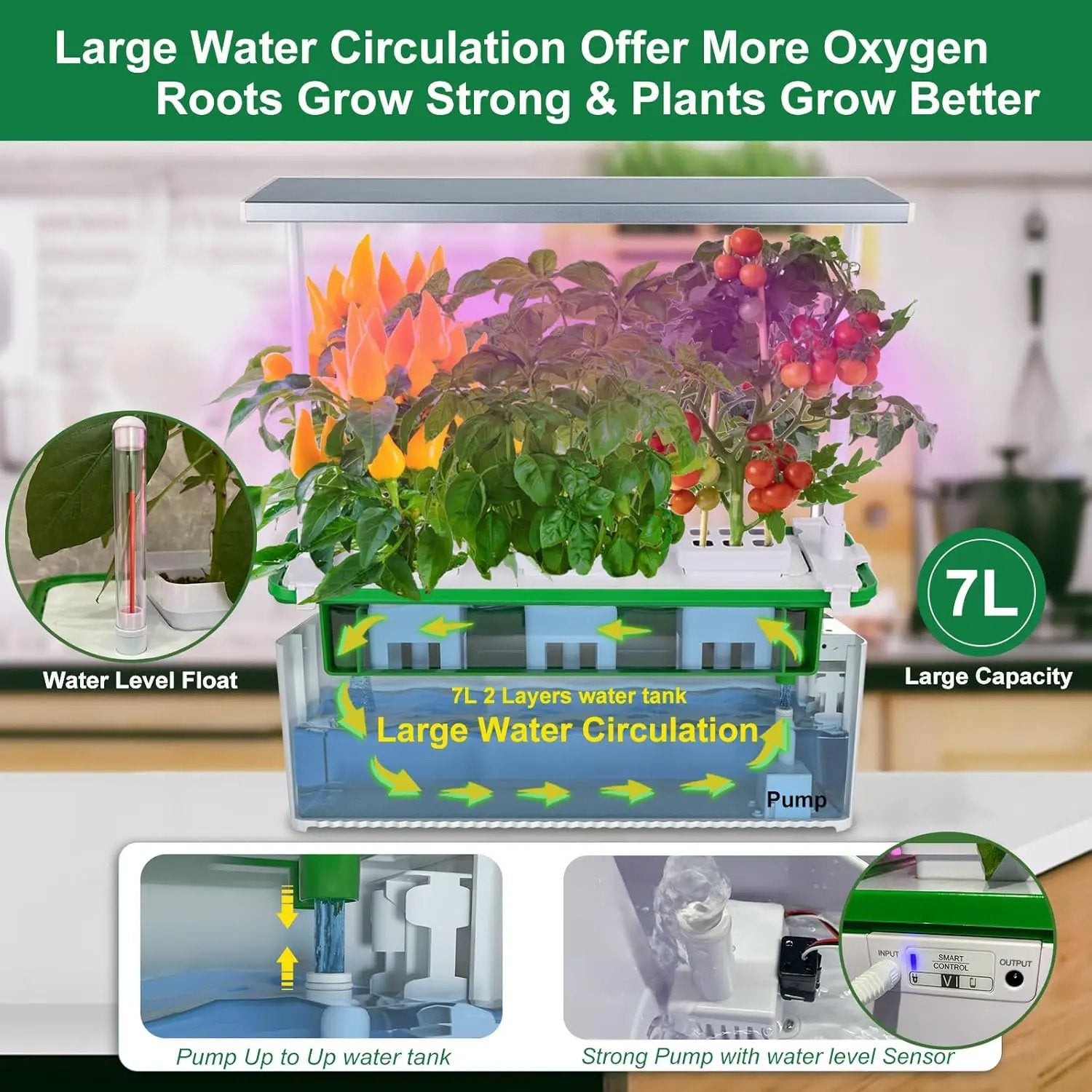 Large Hydroponics Growing System kit with Trellis,Smart Indoor Hydroponic Gardening System with LED Grow Light, Indoor Hydroponic Grow Kit for Tomato,Pepper,Cucumbers(7L,Pump) by GreenHaven Gardens