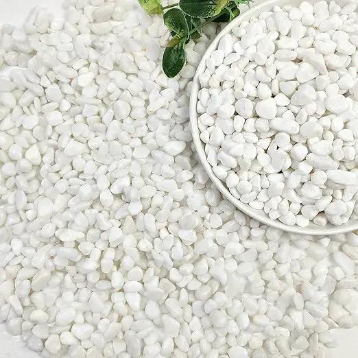 2lbs White Pebbles for Indoor Plants, 3/8inch Small Rocks for Succulent Cactus Planters, Natural Polished Pebbles, River Rocks for Plants, Vases, Garden by GreenHaven Gardens