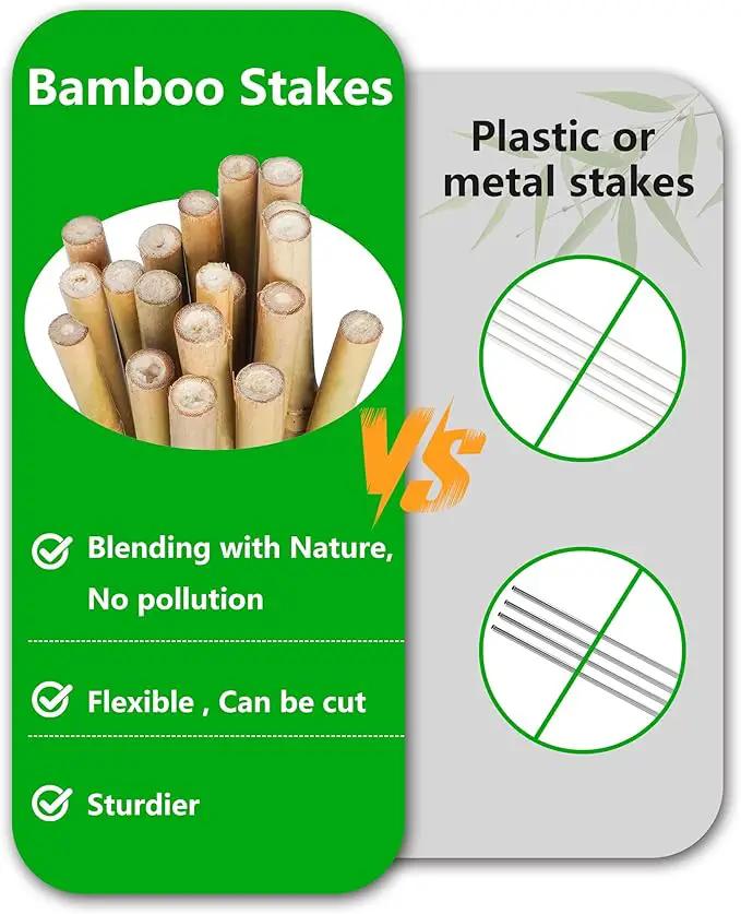 3ft Natural Bamboo Plant Stakes for Tomatoes, Beans, Flowers, Potted, Climbing Plants 25pcs by GreenHaven Gardens