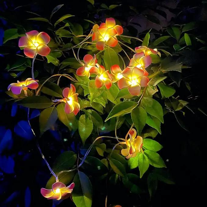 Solar Flowers Outdoor Waterproof - Petunia Blue Morning Glory Flowers&Solar Moth Orchid String Lights 12.5ft 10 LED Phalaenopsis Flower Solar Fairy Lights by GreenHaven Gardens
