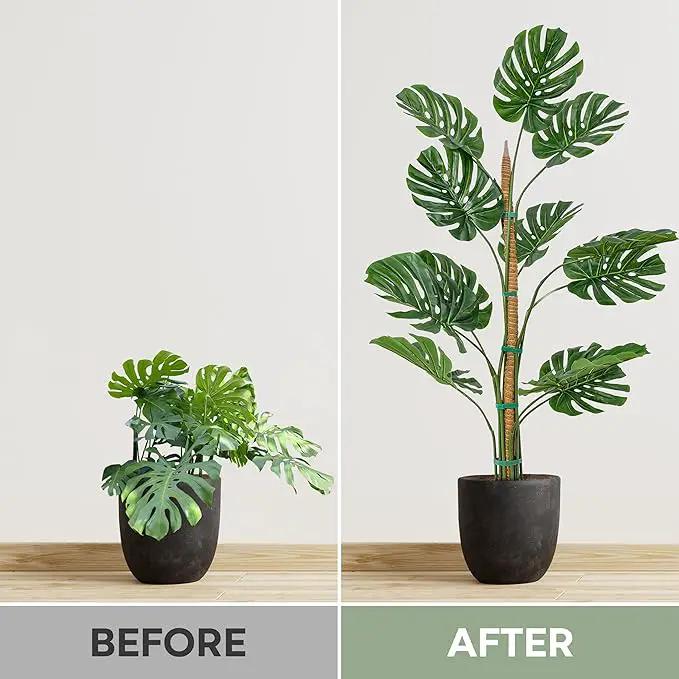 63'' Bendable Moss Pole Monstera Plant Support for Climbing Indoor Plants - Stakes for Potted Climbers - Tall Sticks Indoor Trellis for Houseplants - Accessories for Monstera Pot by GreenHaven Gardens