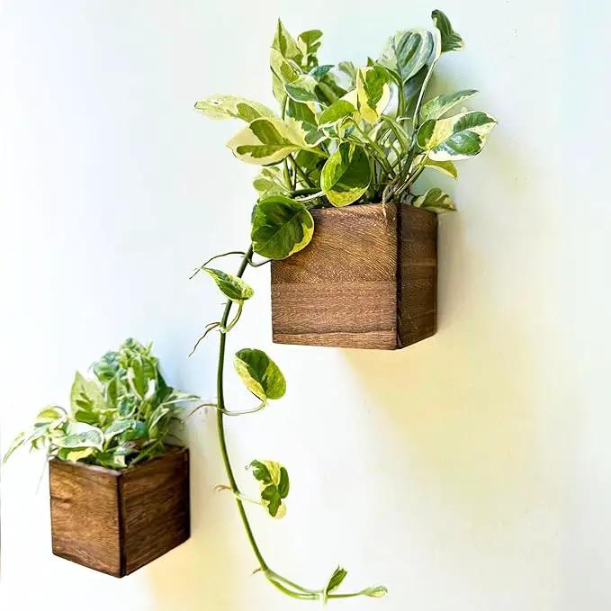 LaLaGreen Wood Planter Box for Plants (2 Pack, 4x4 Inch) Small Square Wall Planters for Indoor Plant, Window Hanging Flower Pot Wooden Boxes for Table Centerpiece Herb Balcony Home Garden Office Decor by GreenHaven Gardens