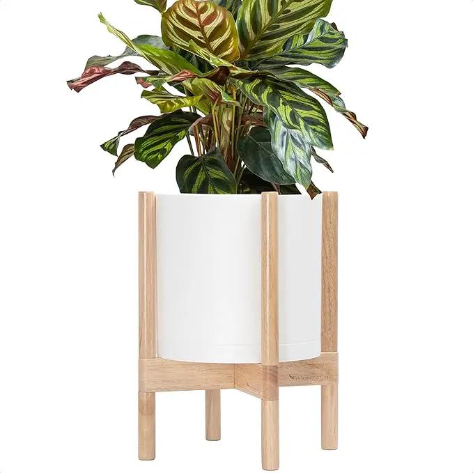 D'vine Dev Planter Pot with Stand - 10 Inch Plastic Cylinder Flower Pot with Wood Planter Holder for Indoor, Matte White Pot + Natural Stand, 55-C-M-1 by GreenHaven Gardens