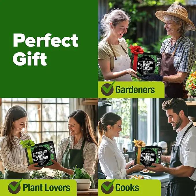 HOME GROWN Indoor Herb Garden Starter Kit - Christmas Gift for Gardeners - Complete 5 Herb Plant Grow Kit - Unique Gift for Mom, Women, Her, Men - Birthday Gift by GreenHaven Gardens