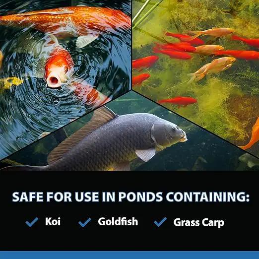 CrystalClear AlgaeOff Pond & Water Garden Scum Cleaner, Waterfall & Rock Slime Remover, String Algae Killer, Green Stain Treatment, EPA Registered Algaecide, Plant, Koi Fish, Bird & Pet Safe, 25 lbs by GreenHaven Gardens