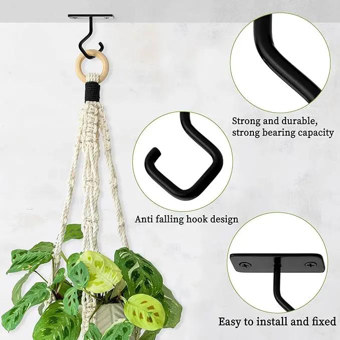 Ceiling Hooks for Hanging Plants: Iron Plant Bracket for Wall Mount - Metal Plant Hanger Indoor Hooks - 8 Pack by GreenHaven Gardens