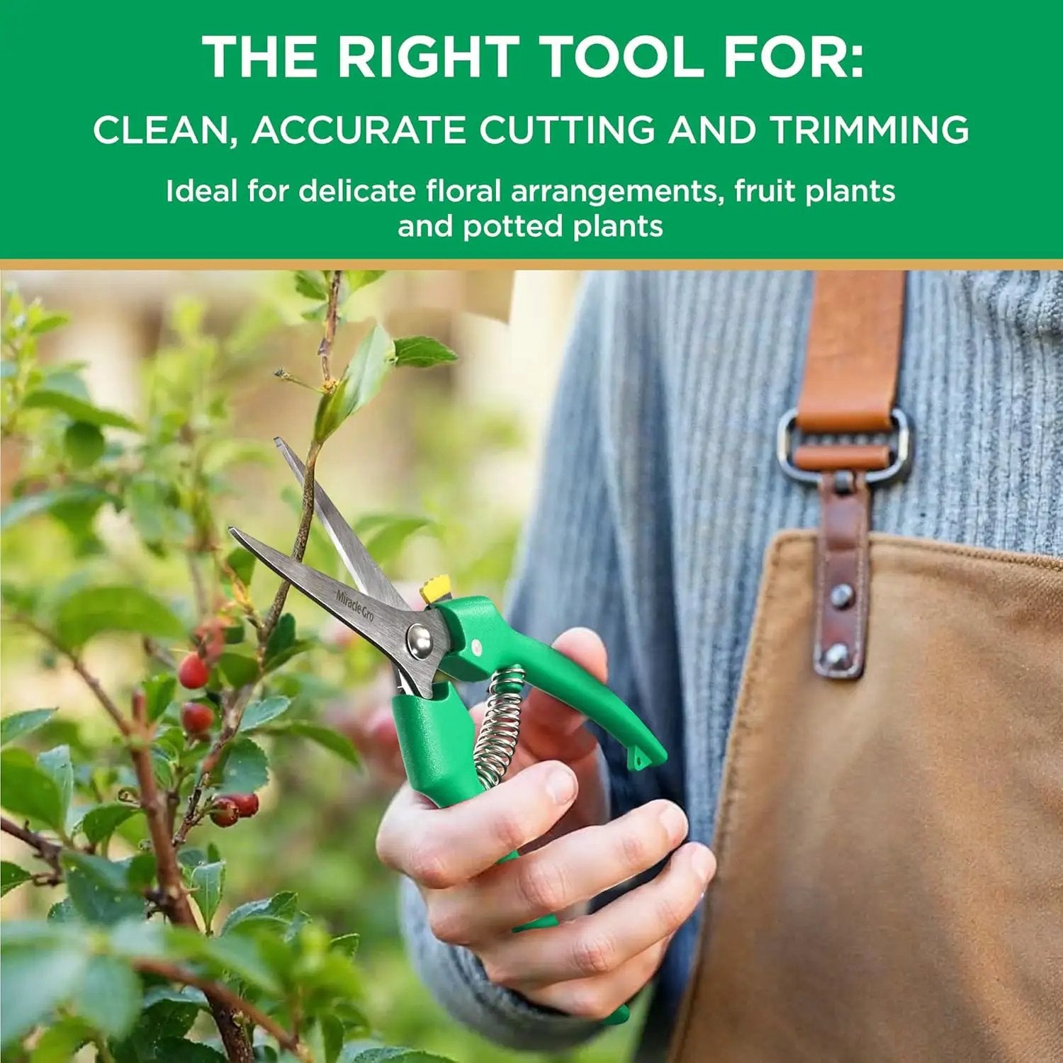 Miracle-Gro Straight Tip Floral Shears - Lightweight Gardening Scissors - Hand Pruner Pruning Shear for Flowers, Herbs, Roses and Indoor Plants by GreenHaven Gardens