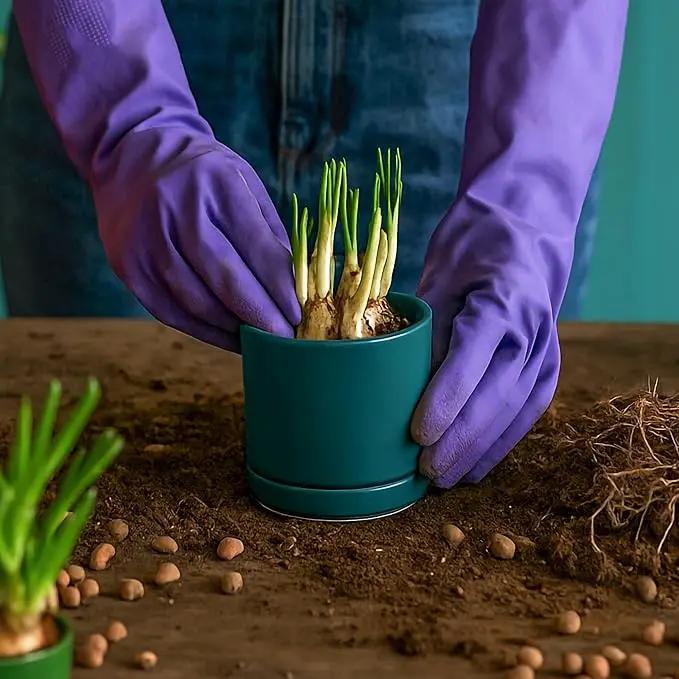 D'vine Dev Set of 2 Plants Pots, 3.5 Inch Ceramic Planter Pot for Plants with Drainage Hole and Saucer, Teal, 94-V-A-9 by GreenHaven Gardens