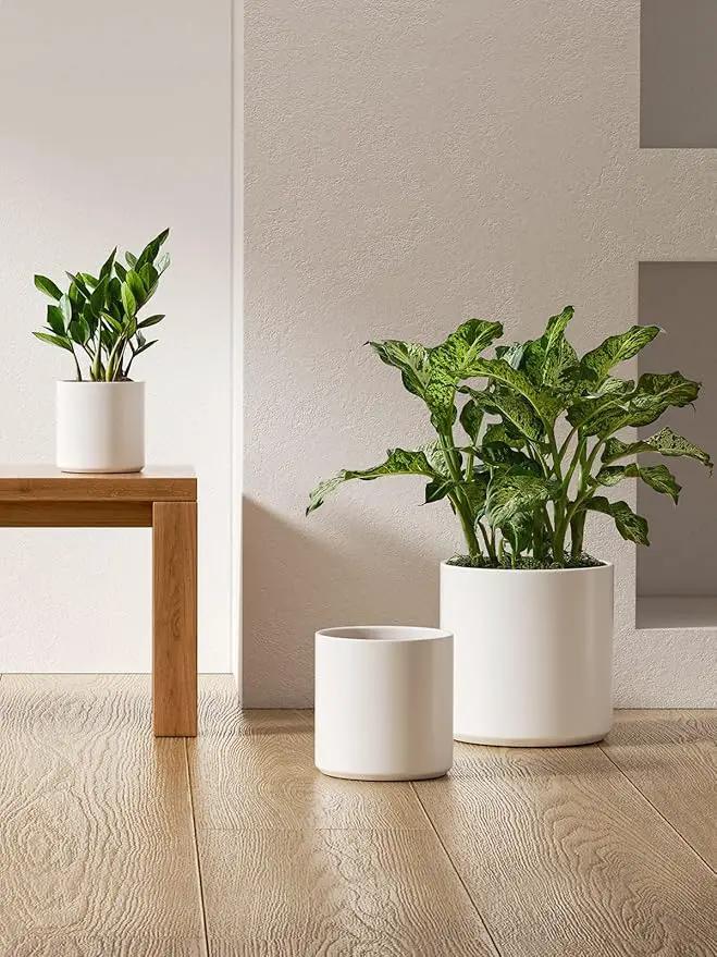 LE TAUCI Ceramic Plant Pots Indoor, 10 Inch 8 Inch 6 Inch Planters for Indoor Plants, Mid-Century Modern Flower Pots with Drainage Hole and Plug, Cylinder Round Planter Pots, Set of 3, White by GreenHaven Gardens