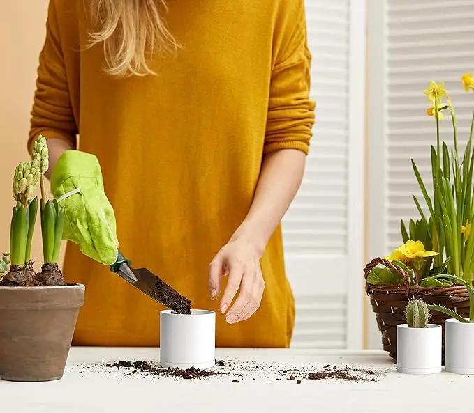 D'vine Dev 12 Pack 3 Inch Mini Plastic Plant Pots, Small Garden Planters for Plant with Drainage Holes and Saucers, White Color, 74-Z-C-4 by GreenHaven Gardens