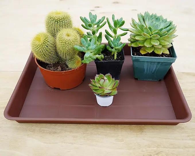 Plant Growing Trays 4 Pack, Plant Tray, 14.5"x11", Heavy Sturdy Plastic Plant Saucer Seed Trays, Seedling Starter Tray, Plant Drip Trays for Indoors, Seed Starter Growing Tray (Chocolate) by GreenHaven Gardens