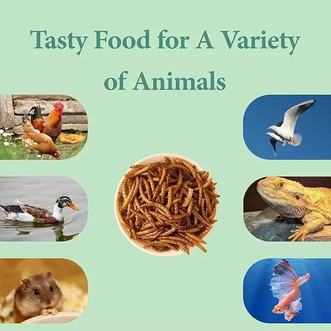 10LB Dried Mealworms, High Protein Meal Worms for Poultry, Wild Birds, Hedgehogs, Hamsters, Reptiles, Great Chicken Food, Bird Food by GreenHaven Gardens