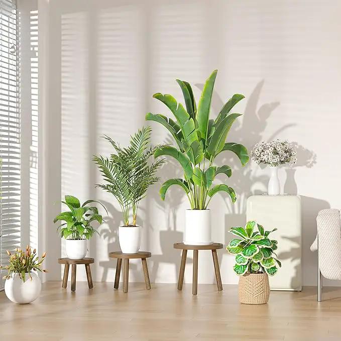 3-Pack Wood Plant Stands Indoor, Single Plant Stand for 6-12 Inch Pots, Mid-Century Modern Plant Stool, Tall Plant Stand for Large Plants for Living Room, Balcony, Office (Dark Gray) by GreenHaven Gardens