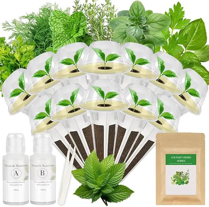 Gourmet Herbs Seed Pod Kit for AeroGarden, iDoo, Ahopegarden, MUFGA Hydroponics Garden with Basil, Parsley, Thyme, Mint, Cilantro, Dill, Oregano - Compatible with All Hydroponics (12-Pod) by GreenHaven Gardens