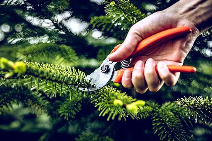 Original LÖWE Bypass Pruner Garden Tools 14.104 | Use as Pruners, Hedge Trimmer, Garden Shears, Pruning Shears for Gardening | For cutting roses, twigs, branches, and cut flowers | Made in Germany by GreenHaven Gardens
