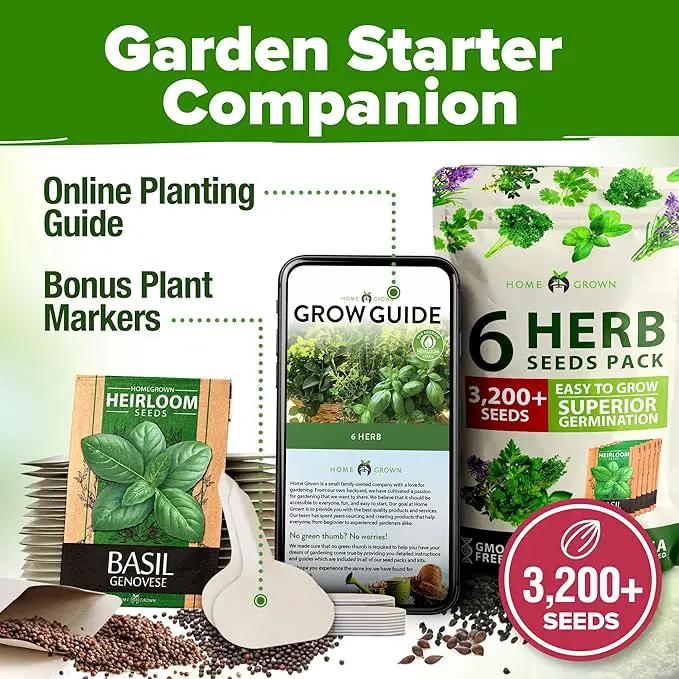 HOME GROWN 6 Herb Seeds for Planting 3,200+ Non-GMO Heirloom Seeds | Extra Large Variety Pack Herb Kit – Indoor Outdoor & Hydroponic | Culinary Seed Set | Grow Your Own Herbs | Gift for Beginners by GreenHaven Gardens