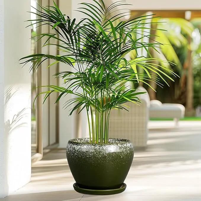 8 Inch Plant Pot - Ceramic Planter with Drainage Hole and Saucer, Modern Flower Pot for Glazed Indoor Plants Outdoor, Dark Green by GreenHaven Gardens