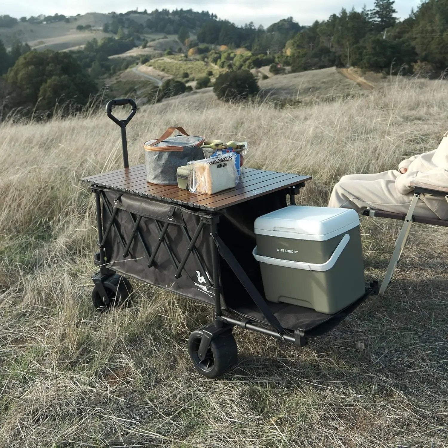 Whitsunday Collapsible Wagon with Tailgate and Big Wheel,Heavy Duty Utility Folding Wagons for Beach Camping Outdoor Black by GreenHaven Gardens