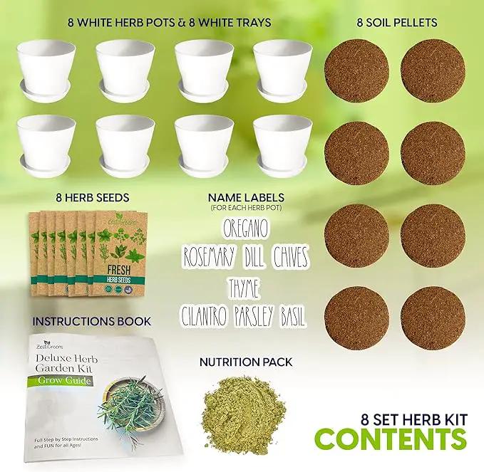 Deluxe Indoor & Outdoor Herb Garden Kit – 8 or The Most Popular Culinary Herbs with Pots & Soil for Windowsill or Patio Growing by GreenHaven Gardens