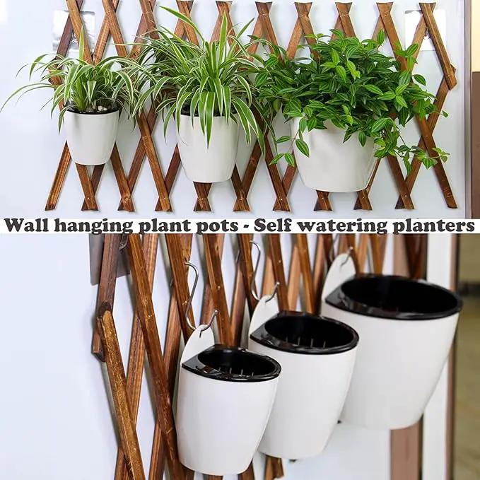 5 Packs 7.3”Wall Hanging Self Watering Planters Large Wall Mounted Plastic Plant Pots Wick Flower Pots for Indoor and Outdoor Wall Mounted Planters African Violet Pot Orchid Pots by GreenHaven Gardens