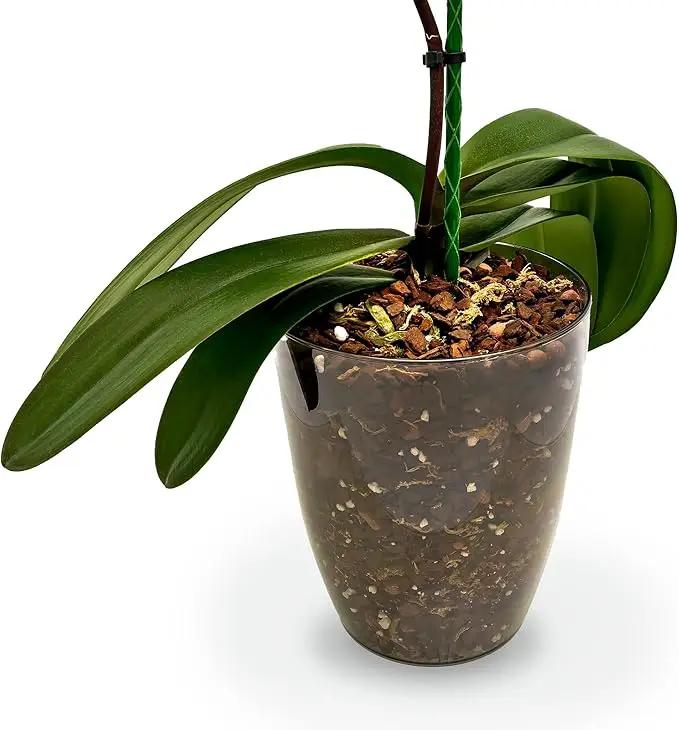 Premium Orchid Soil Mix by Gardenera - Hand Mixed New Zealand Pinus Radiata 100% Natural Potting Soil Bark Mix - for Phalaenopsis Orchid - 1 Quart - Made in USA by GreenHaven Gardens