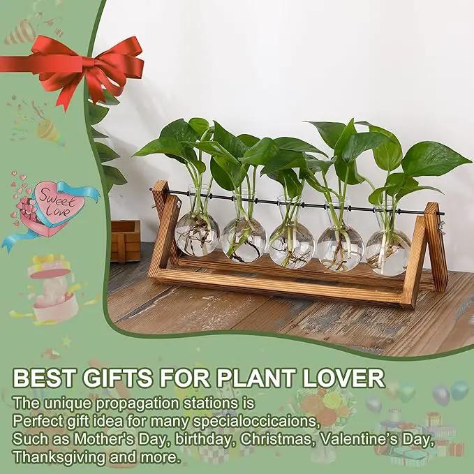 YIBOT Propagation Stations,Plant Terrarium with Wooden Stand,Plant Lover Gifts for Women for Hydroponics Plants Home Garden Wedding Decor(5 Bulb Vase) by GreenHaven Gardens