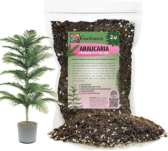 Premium Araucaria Potting Soil Mix - Perfect Balance of Nutrients, Drainage, and Aeration for Healthy Araucaria Trees - 2 Quart by GreenHaven Gardens
