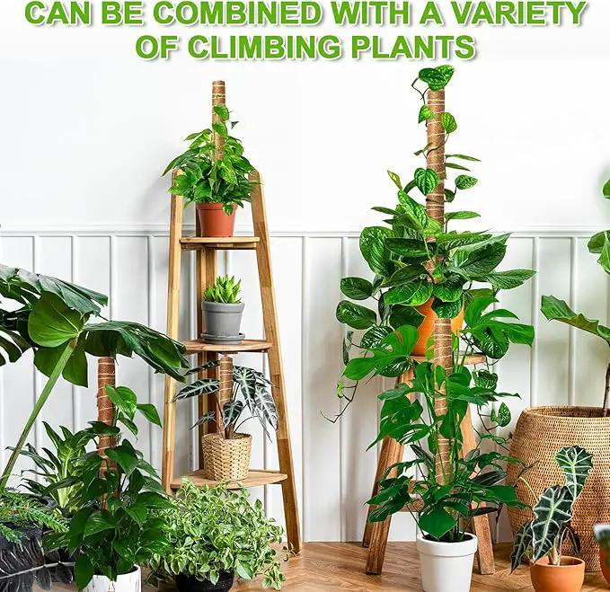 EAONE Moss Pole 96 Inch, 6 Pack 16" Monstera Plant Support for Climbing Potted Live Plants Indoor, Stackable Coco Coir Moss Sticks Monstera Stakes for Pothos Philodendron, with Garden Labels & Ties by GreenHaven Gardens