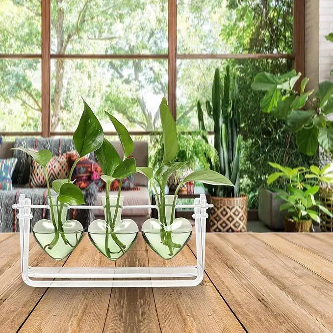 Plant Terrarium Propagation Stations with Wooden Stand Birthday Gifts for Women Plant Stand Indoor Office Home Decor by GreenHaven Gardens