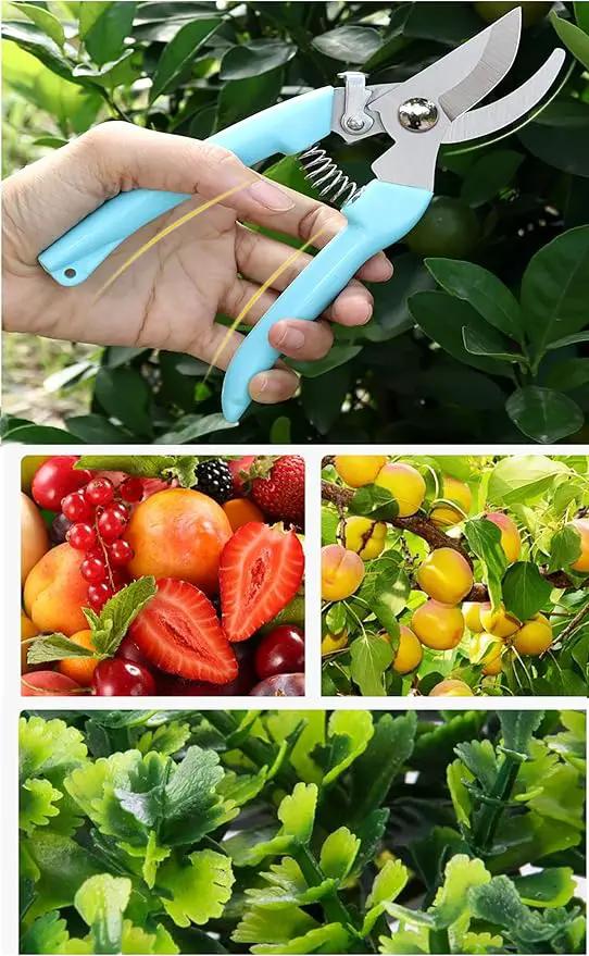 Blue Garden Flower Shears Pruning Shears 6.9 inches Scissors Heavy Duty Plant Scissors for Cutting Flowers, Trimming Plants, Bonsai, Fruits Picking (Blue Handle) by GreenHaven Gardens
