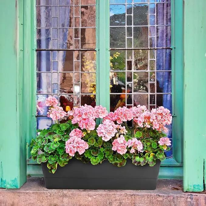 GREANER Black Rectangle Window Boxes, 3 Pack 12x3.8 Inch Herb Planters with Tray, Indoor Succulent Cactus Mint Plastic Pot for Windowsill, Garden Balcony, Office Outdoor Decoration by GreenHaven Gardens