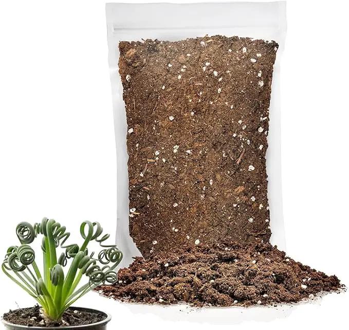 Premium Albuca Spiralis Potting Soil Mix - Perfect Balance of Nutrients, Drainage, and Aeration for Thriving Blooms - 1 Quart by GreenHaven Gardens
