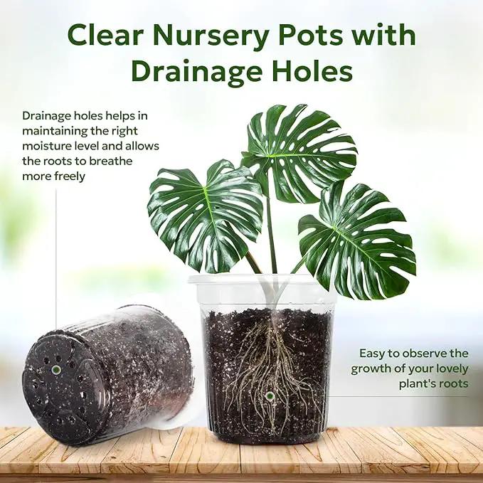 1 Gallon Reinforced Clear Nursery Pots with Drainage Hole, 30 Packs, 6.7 Inch Transparent Pots for Seedlings, Indoor/Outdoor Plants, Veggies, Flowers, and Professional Nursery Use by GreenHaven Gardens