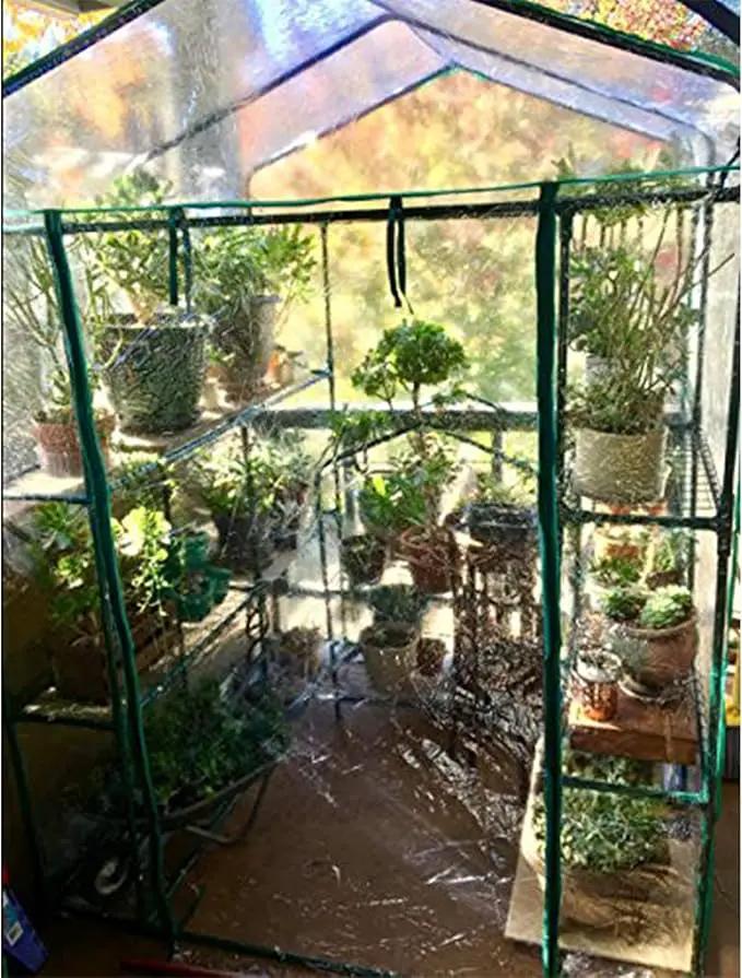 Home-Complete 514537FXW Walk-in Greenhouse-Indoor Outdoor with 8 Sturdy Shelves-Grow Plants, Seedlings, Herbs, or Flowers in Any Season-Gardening Rack, Green by GreenHaven Gardens