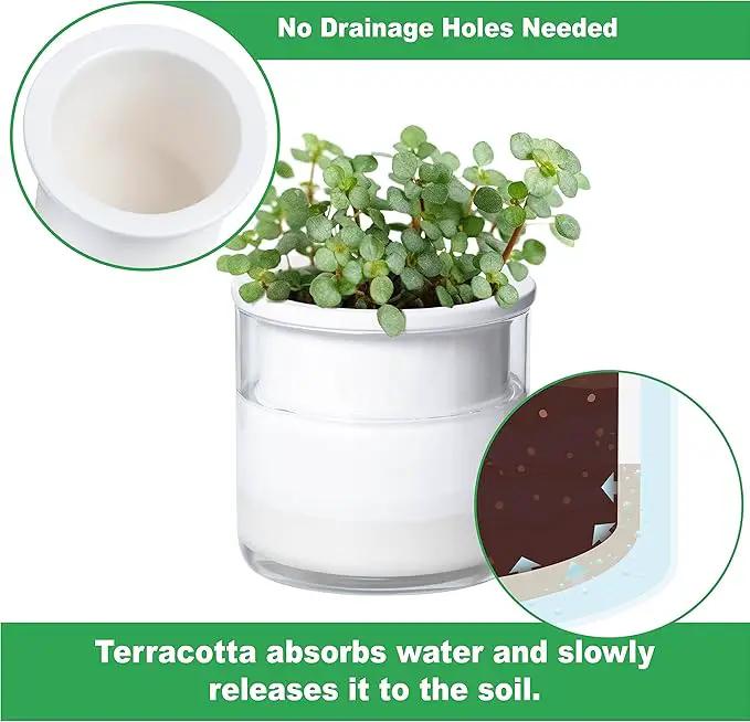 Phoenix Vine 4 Inch Self Watering Planter Pot, Design White Terracotta Pots for Plants, Indoor Cylinder Terra Cotta Pots with Glass Vase, Set of 2, 51-B-E-2 by GreenHaven Gardens