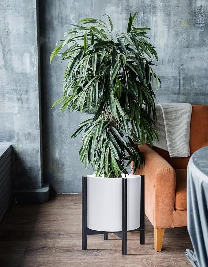 D'vine Dev Planter Pot with Stand - 14 Inch Plastic Cylinder Flower Pot with Wood Planter Holder for Indoor, Matte White Pot + Ebony Stand, 55-C-T-1 by GreenHaven Gardens