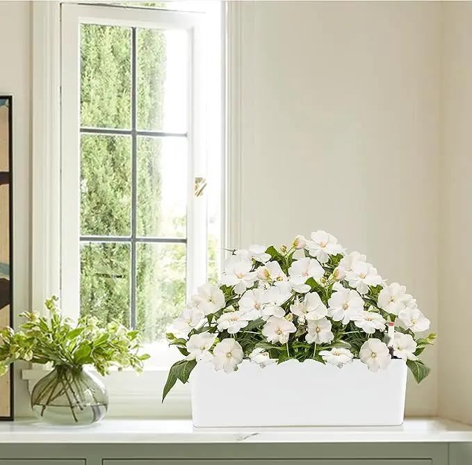GardenBasix Elongated Self Watering Planter Pots 2-Pack Window Box 5.5 x 16 inch Indoor Home Garden Modern Decorative Planter Pot for All House Plants Flowers Herbs (White,2) by GreenHaven Gardens
