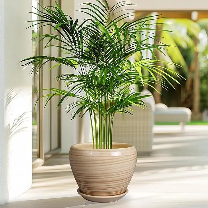 Planter 8 Inch - Indoor/Outdoor Ceramic Plant Pot With Drainage Hole and Saucer, Round Modern Flower Planter for Succulents, House, Patio - Yellow by GreenHaven Gardens