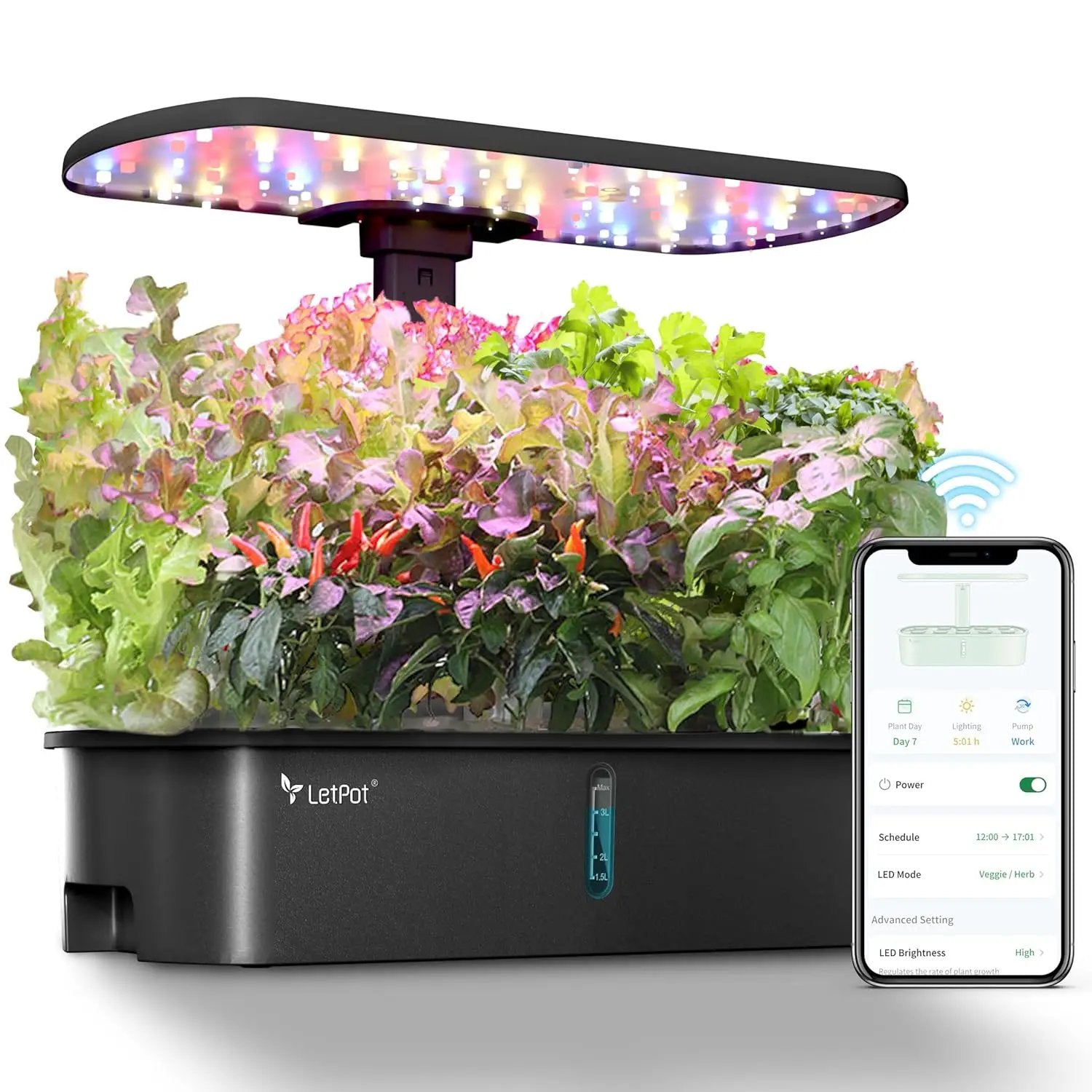 LETPOT LPH-Air Hydroponics Growing System Kits, APP & WiFi Controlled Smart Indoor Garden with 24W Grow Light Full Spectrum, 10 Pods Planter Indoor Gardening for Gifts, Kitchen, Vegetable (Black) by GreenHaven Gardens