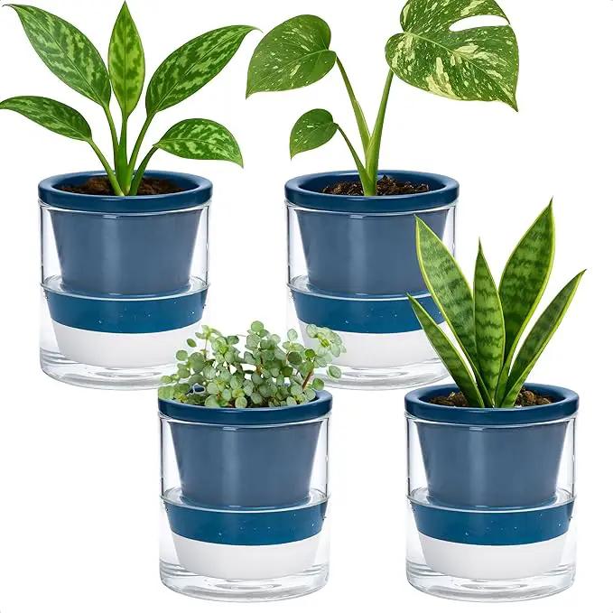 D'vine Dev 4 Inch Design Self Watering Planter for Indoor Plants, Blue Terracotta Pot with Cylinder Glass Cup, Set of 4, 37-Z-A-4-F by GreenHaven Gardens