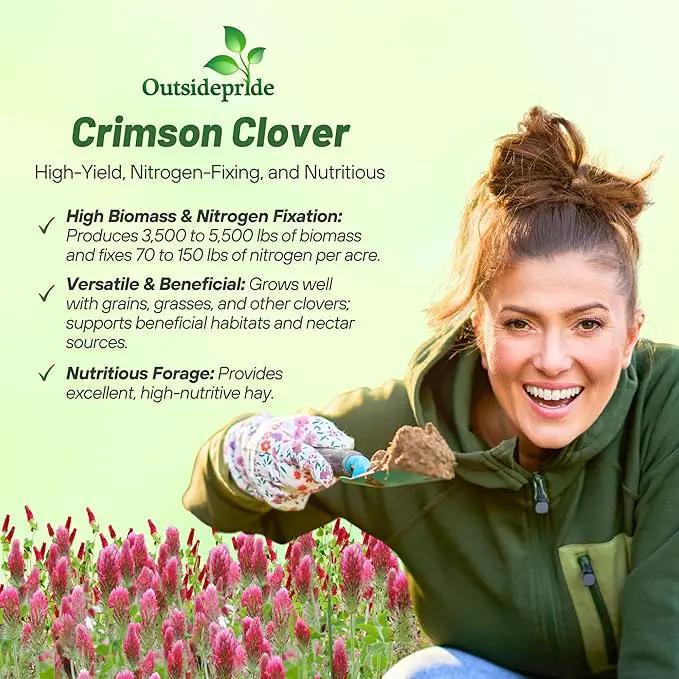 Outsidepride Crimson Clover Seeds - 2 lbs. Annual, Nitrocoated, & Inoculated Ground Cover Seeds, Ideal Clover Seed for Lawn, Cover Crop, Pasture, Hay, Green Manure & Wildlife Forage by GreenHaven Gardens
