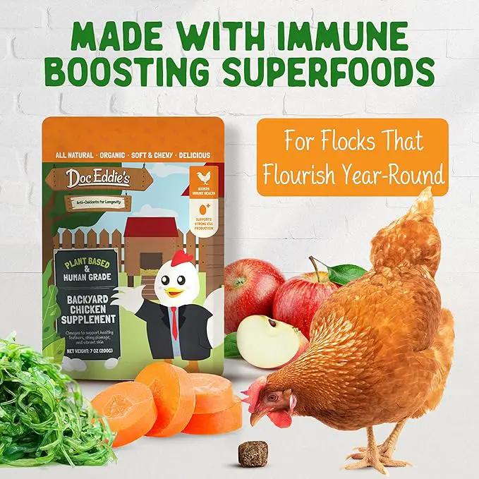 Doc Eddie’s Backyard Chicken Supplement - Plant-Based Treats for Egg Laying Hens - Poultry Feed Enrichment Made with Omega 3 Rich Algae - Essential for Immune Health, Feather Regrowth, Egg Production by GreenHaven Gardens