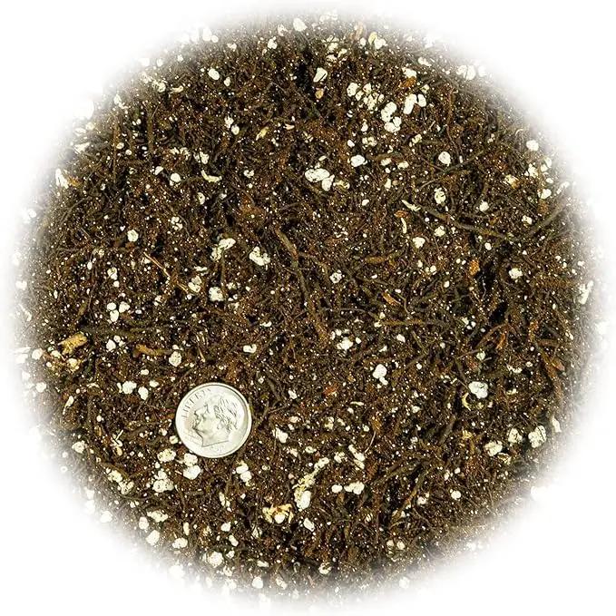Fern + Perlite Soil Mix for Repotting and Planting Succulents and Cactuses - 1 Quart Bag by GreenHaven Gardens