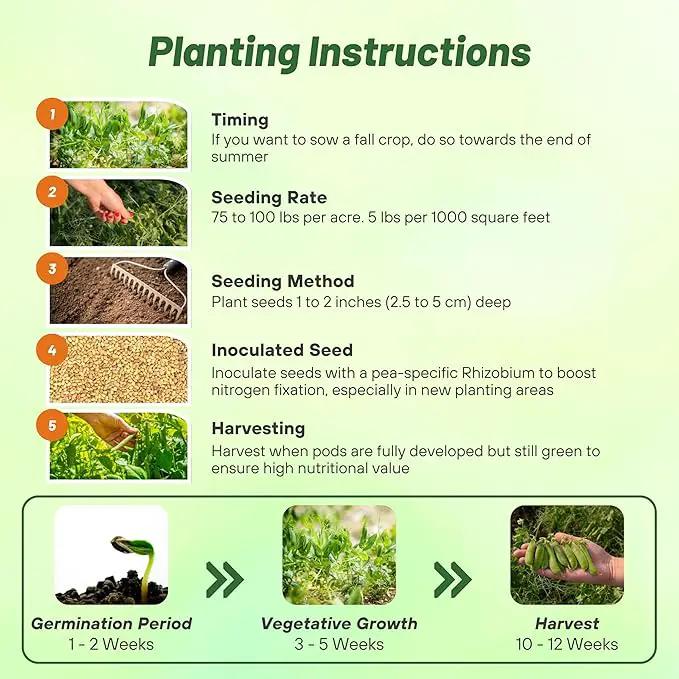Outsidepride Dundale Spring Field Peas Seeds - 50 lbs. Annual, High-Protein Legume & Cover Crop Seeds for Forage, Food Plot, Gardens & Pastures - Ideal for Improving Soil Health, & Erosion Control by GreenHaven Gardens