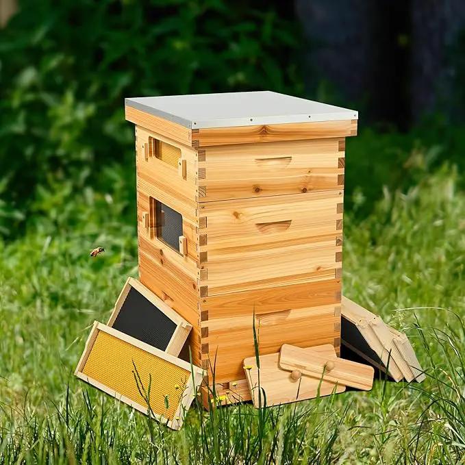 CREWORKS 10 Frame Bee Hive, 3 Layers Beeswax Coated Beehive Starter Kit with Frames & Foundations, Langstroth Bees Hives Box with Transparent Acrylic (Window Medium Box & 2 Deep Boxes) by GreenHaven Gardens