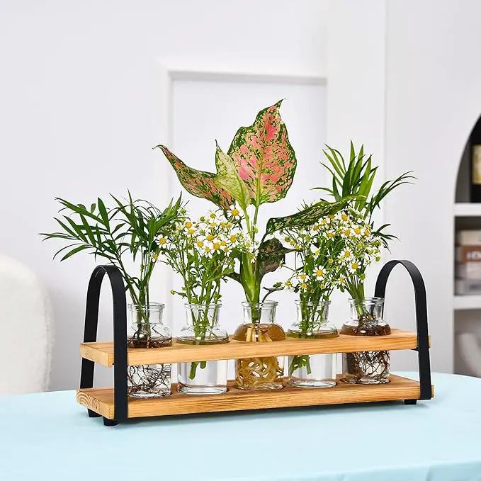 Plant Propagation Stations with Wood Stand, Desktop Plant Terrarium for Propagating Hydroponic, Flower Vase for Home Kitchen Office Decor, Plant Lover Gifts by GreenHaven Gardens