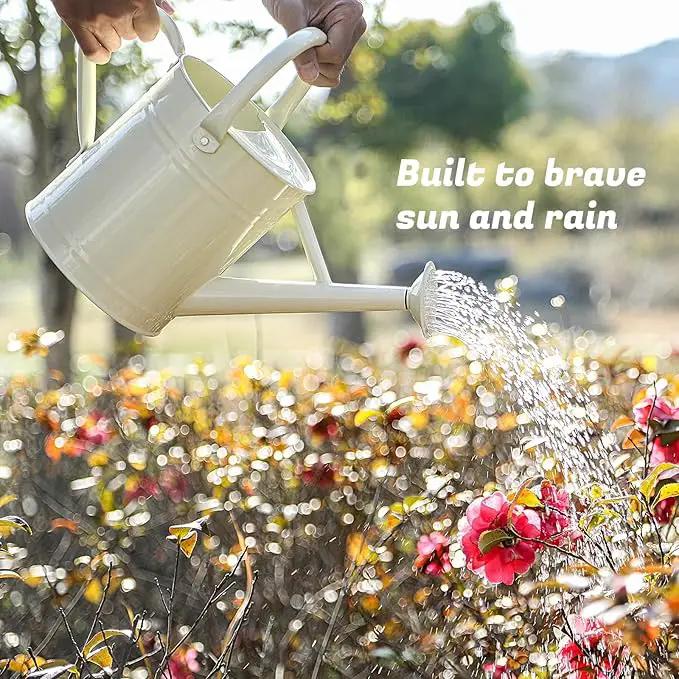 1 Gallon Watering Can for Plants, Watering Cans for Indoor&Outdoor Gardening, Galvanized Steel Watering Pot with Removable Spout, Metal Water Can with Ergonomic Movable Handle(White) by GreenHaven Gardens