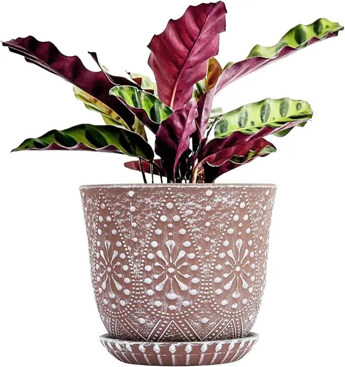 Gepege 8 Inch Plant Pot for Plants, Ceramic Planter with Drainage Holes and Saucers for Indoor Plants Large Flower Pot by GreenHaven Gardens