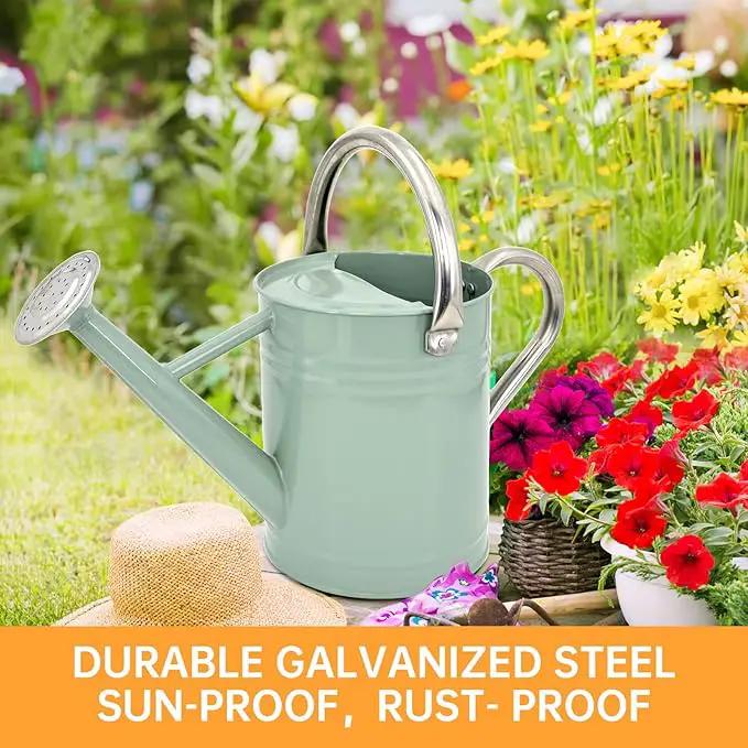 Metal Watering Can for Outdoor Plants, Galvanized Steel Watering Can with Removable spout, 1 Gallon,Perfect Home & Garden Décor Cream Green by GreenHaven Gardens